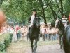 stallion Meerdrache xx (Thoroughbred, 1979, from Tauchsport xx)