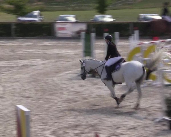 Reitturnier Monschau-Mützenich 2022