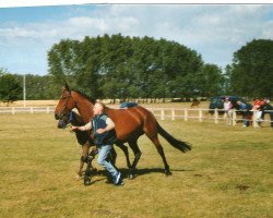 broodmare Lolita (Brandenburg, 1998, from Longo xx)