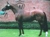 stallion Acordplus (Westphalian, 1995, from Acord II)