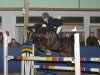 jumper Big Al (German Riding Pony, 2001, from Black Boy)