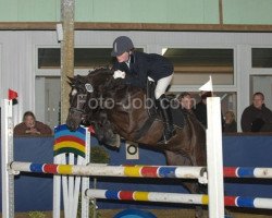 jumper Big Al (German Riding Pony, 2001, from Black Boy)