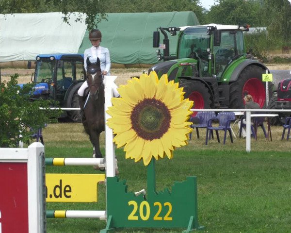 Reitturnier Nussbach 2022
