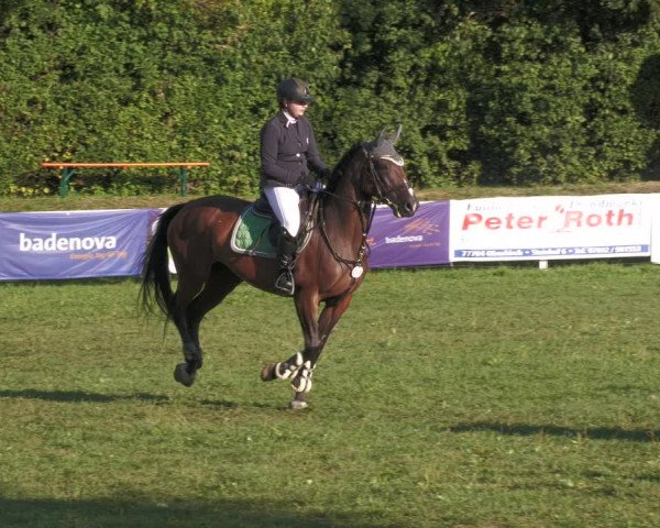 Reitturnier Nussbach 2022