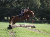 jumper Sinley (Hanoverian, 2006, from Stand Up 2)