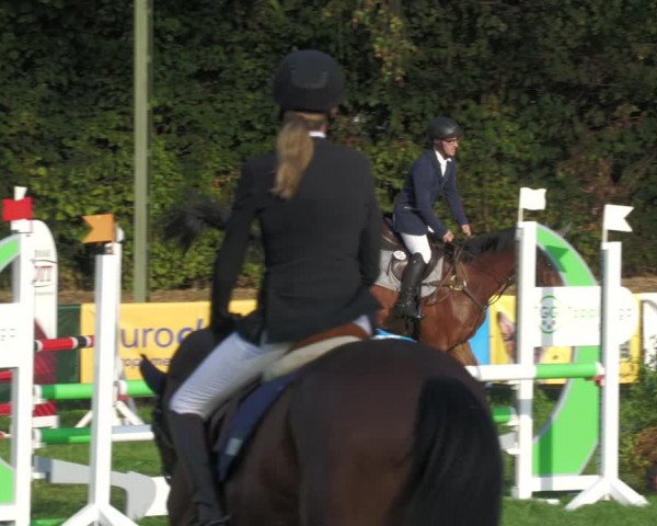Reitturnier Nussbach 2022