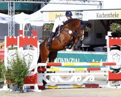 jumper Classina 4 (Oldenburg, 2018, from Carcassonne)