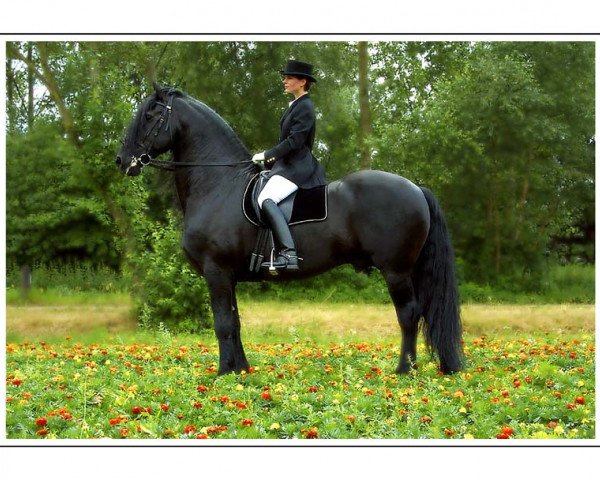 horse Jakob 302 (Friese, 1985, from Naen 264)