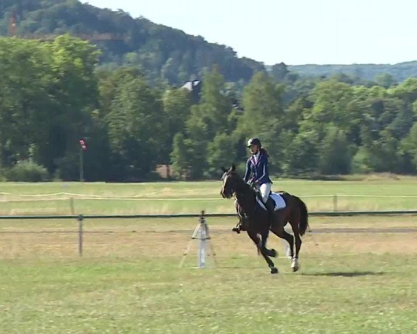 Reitturnier Bad Kissingen/Ufr. 2022