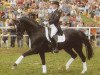 stallion Donnerprinz (Hanoverian, 1991, from Donnerhall)