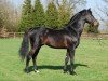 horse Loutano (Holsteiner, 1988, from Landgraf I)