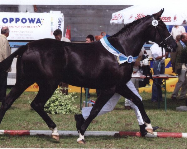 broodmare Dark Florestina (Bavarian, 2003, from Florestan I)