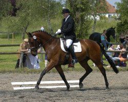 horse Flox 5 (Bavarian, 2002, from Florestan I)