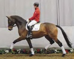 dressage horse Froschkönig (Westphalian, 2009, from Flovino)