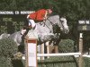 jumper Illusion 57 (KWPN (Royal Dutch Sporthorse), 1990, from Cavalier)