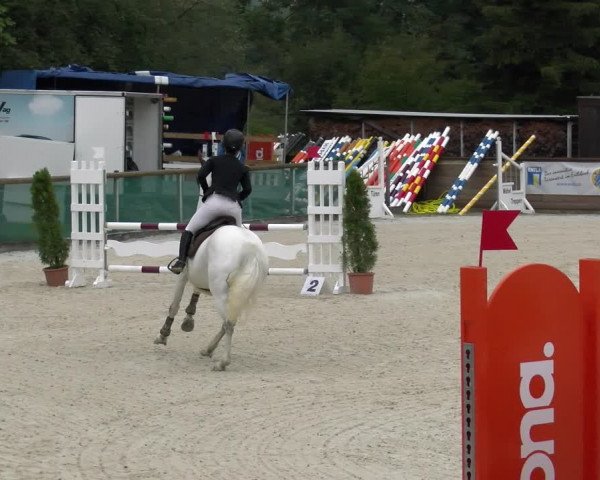 Reitturnier Schüpfheim 2022