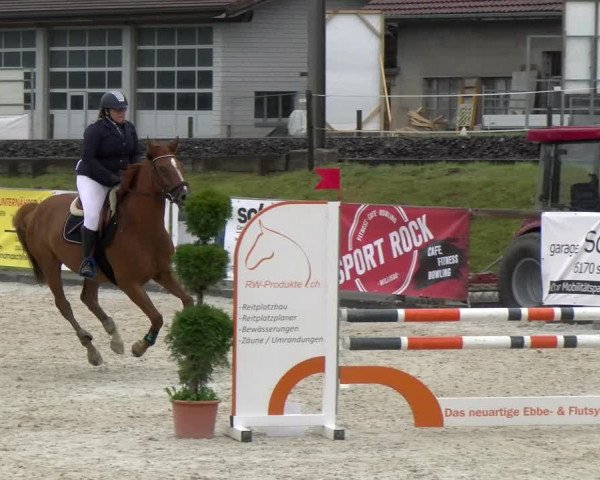 Reitturnier Schüpfheim 2022