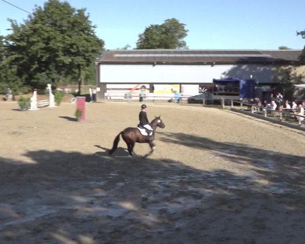 Reitturnier Bonn - Annaberger Hof 2022