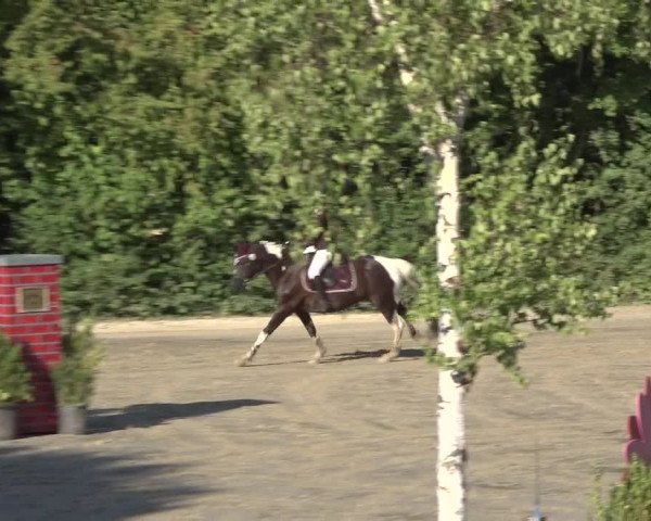 Reitturnier Bonn - Annaberger Hof 2022