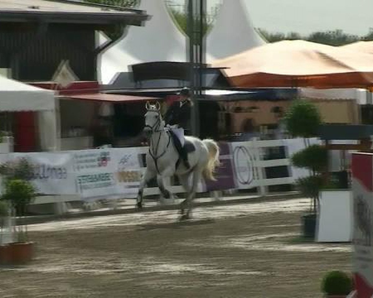 dressage horse Roxana W (Hanoverian, 2003, from Roadster)