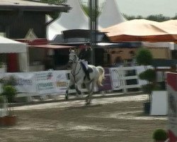 dressage horse Roxana W (Hanoverian, 2003, from Roadster)