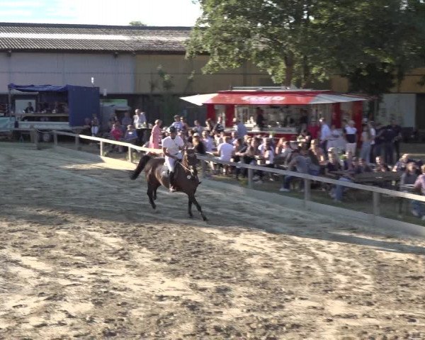 Reitturnier Bonn - Annaberger Hof 2022
