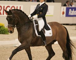 stallion Solos Carex (Danish Warmblood, 1993, from Castro)