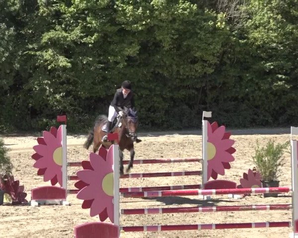 Reitturnier Bonn - Annaberger Hof 2022