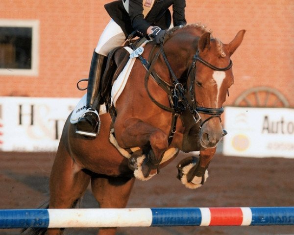 broodmare Crisby WE (German Riding Pony, 2005, from Halifax)