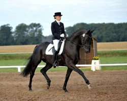 dressage horse Leopard' S Komet (Hanoverian, 2004, from K2 T)