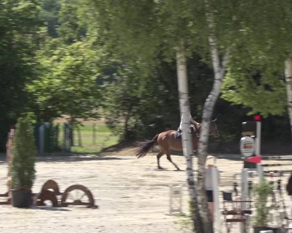 Reitturnier Bonn - Annaberger Hof 2022