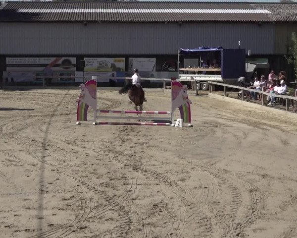 Reitturnier Bonn - Annaberger Hof 2022