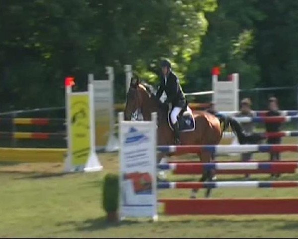 jumper Cotopaxi 5 (Holsteiner, 2001, from Caretino)