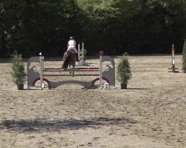 Reitturnier Bonn - Annaberger Hof 2022