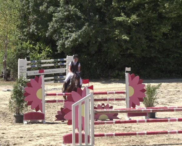 Reitturnier Bonn - Annaberger Hof 2022
