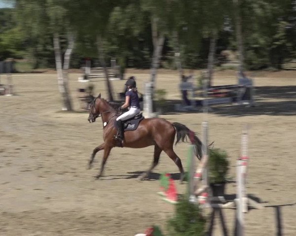 Reitturnier Bonn - Annaberger Hof 2022