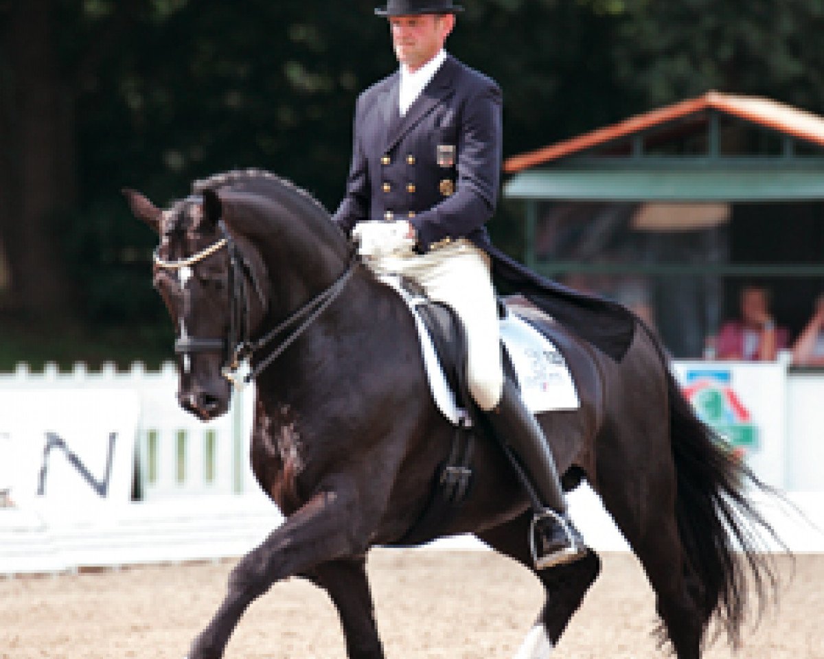 stallion Dolany (Holsteiner, 1997, from Donnerhall)