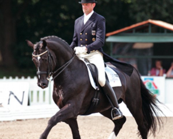 dressage horse Dolany (Holsteiner, 1997, from Donnerhall)