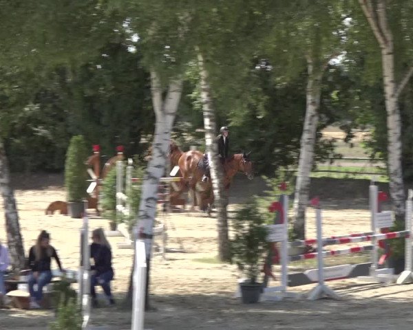Reitturnier Bonn - Annaberger Hof 2022