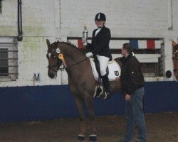 dressage horse Roosevelt SH (Hanoverian, 2006, from Rosentau)