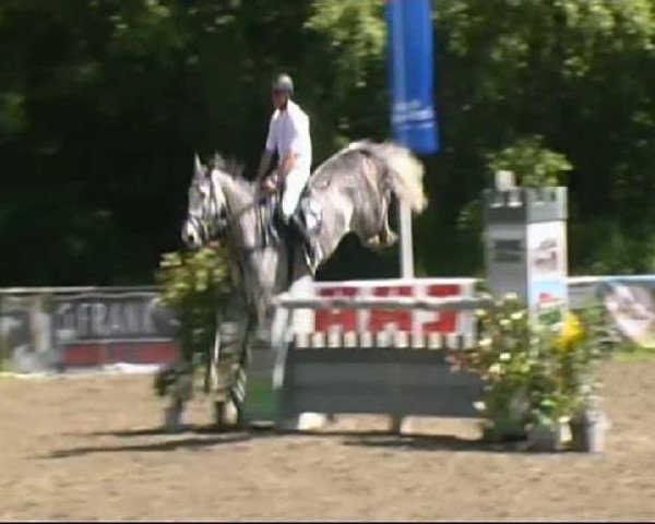 jumper Chavera 2 (Holsteiner, 2004, from Clearway)