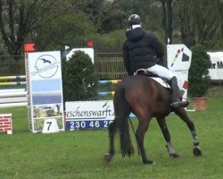 Springpferd Luping 5 (Westfale, 2006, von Lord Lancer)