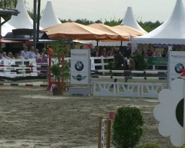 jumper Champion 96 (Westphalian, 2002, from Collin L)