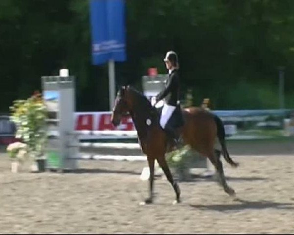 Springpferd Novello (Bayer, 2000, von Na und)