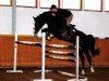 stallion Semper Odem (Bavarian, 1991, from Sandro)
