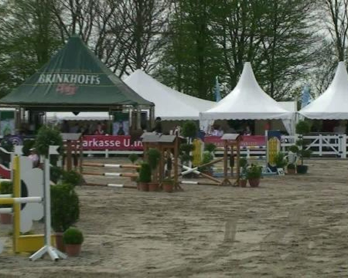 Springpferd Quasi Fomia Z (Zangersheide Reitpferd, 2006, von Quasimodo Z)