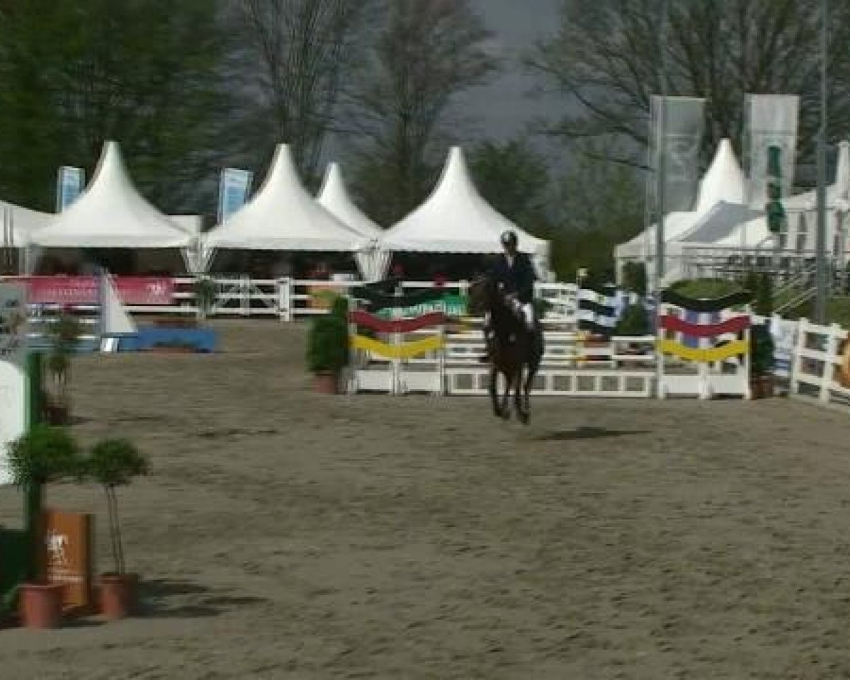 Springpferd Michel 220 (Westfale, 2008, von Montendro)
