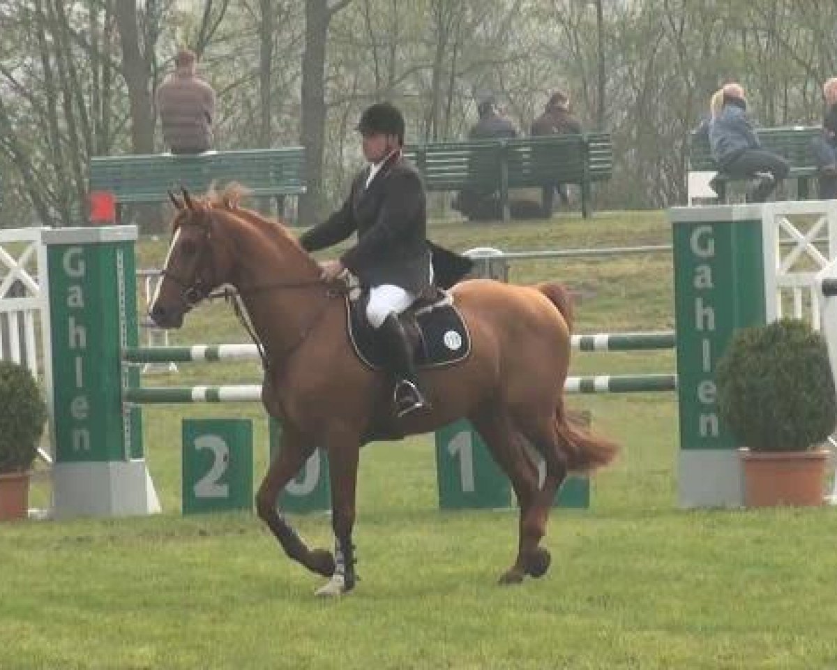 jumper Chalott PL (Rhinelander, 2002)