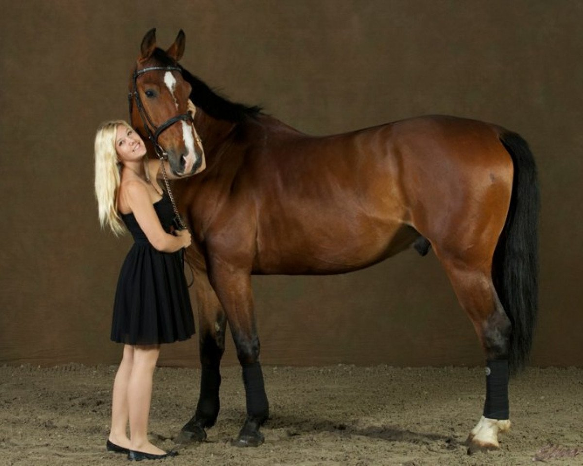 Pferd Cajeron (Polnisches Warmblut, 2006, von Cajero)