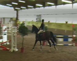 dressage horse Lartago du Bucher (Selle Français, 1999, from Alcatraz)